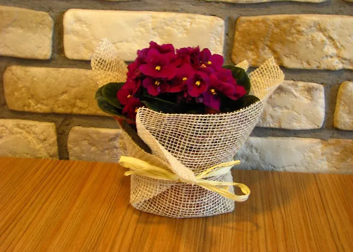 W Centrum Gdyni I Apartment Gdynia